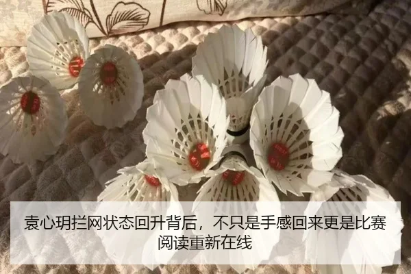 袁心玥拦网状态回升背后，不只是手感回来更是比赛阅读重新在线